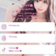 白浜 実は 鶯谷人妻城
