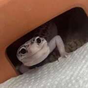 ヒメ日記 2025/09/24 15:26 投稿 まりか 吉原ファーストレディ