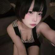 ヒメ日記 2025/09/20 02:29 投稿 ぱるむ The White