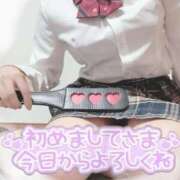 ヒメ日記 2025/07/12 09:35 投稿 めい 千葉SMクラブ女王様とM男