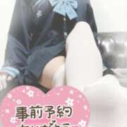 ヒメ日記 2025/08/15 11:55 投稿 めい 千葉SMクラブ女王様とM男