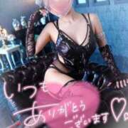 ヒメ日記 2025/08/30 18:25 投稿 めい 千葉SMクラブ女王様とM男