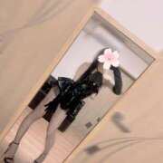 ヒメ日記 2026/08/24 07:00 投稿 りさ 千葉SMクラブ女王様とM男