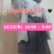 ヒメ日記 2025/10/22 12:06 投稿 さき 千葉SMクラブ女王様とM男