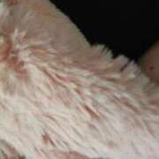 ヒメ日記 2025/11/12 08:32 投稿 リエコ 人妻生レンタル