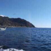 ヒメ日記 2025/11/24 16:50 投稿 リエコ 人妻生レンタル