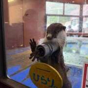 ヒメ日記 2025/11/11 13:08 投稿 岸えり Salon du M-えっちなお姉さんのM性感デリバリー-五反田店