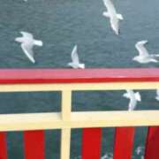 ヒメ日記 2025/11/23 00:58 投稿 岸えり Salon du M-えっちなお姉さんのM性感デリバリー-五反田店