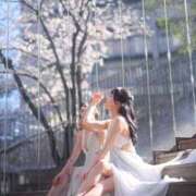 ヒメ日記 2026/04/07 01:31 投稿 岸えり Salon du M-えっちなお姉さんのM性感デリバリー-五反田店