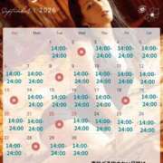 ヒメ日記 2026/09/03 14:58 投稿 岸えり Salon du M-えっちなお姉さんのM性感デリバリー-五反田店