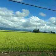 ヒメ日記 2025/08/16 10:43 投稿 柊ゆうな BaliSpa