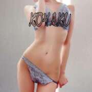 ヒメ日記 2025/07/04 19:28 投稿 Kohaku LovingTouch（ラビングタッチ）