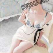 ヒメ日記 2025/07/08 10:58 投稿 Kohaku LovingTouch（ラビングタッチ）