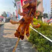 ヒメ日記 2025/07/11 07:18 投稿 Kohaku LovingTouch（ラビングタッチ）