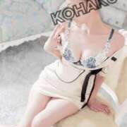 ヒメ日記 2025/07/11 17:18 投稿 Kohaku LovingTouch（ラビングタッチ）