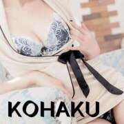 ヒメ日記 2025/07/12 18:58 投稿 Kohaku LovingTouch（ラビングタッチ）