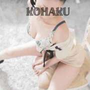 ヒメ日記 2025/07/14 22:08 投稿 Kohaku LovingTouch（ラビングタッチ）