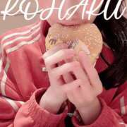 ヒメ日記 2025/07/17 20:08 投稿 Kohaku LovingTouch（ラビングタッチ）