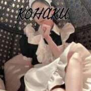 ヒメ日記 2025/07/18 23:18 投稿 Kohaku LovingTouch（ラビングタッチ）