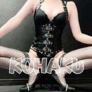 ヒメ日記 2025/07/19 17:52 投稿 Kohaku LovingTouch（ラビングタッチ）