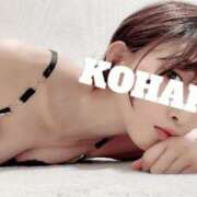 ヒメ日記 2025/07/21 23:48 投稿 Kohaku LovingTouch（ラビングタッチ）