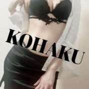 ヒメ日記 2025/07/26 00:18 投稿 Kohaku LovingTouch（ラビングタッチ）