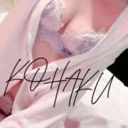 ヒメ日記 2025/07/28 12:08 投稿 Kohaku LovingTouch（ラビングタッチ）