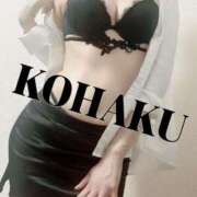 ヒメ日記 2025/08/02 22:38 投稿 Kohaku LovingTouch（ラビングタッチ）