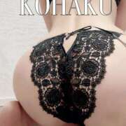 ヒメ日記 2025/08/04 20:39 投稿 Kohaku LovingTouch（ラビングタッチ）