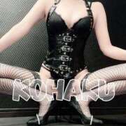 ヒメ日記 2025/08/05 12:09 投稿 Kohaku LovingTouch（ラビングタッチ）