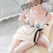 ヒメ日記 2025/08/11 23:38 投稿 Kohaku LovingTouch（ラビングタッチ）