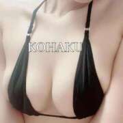 ヒメ日記 2025/09/04 19:29 投稿 Kohaku LovingTouch（ラビングタッチ）