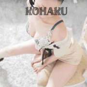 ヒメ日記 2025/09/05 10:58 投稿 Kohaku LovingTouch（ラビングタッチ）