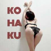 ヒメ日記 2025/09/05 17:28 投稿 Kohaku LovingTouch（ラビングタッチ）