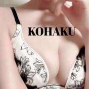 ヒメ日記 2025/09/09 15:58 投稿 Kohaku LovingTouch（ラビングタッチ）