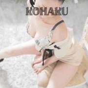 ヒメ日記 2025/09/21 15:18 投稿 Kohaku LovingTouch（ラビングタッチ）