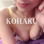 ヒメ日記 2025/09/23 17:18 投稿 Kohaku LovingTouch（ラビングタッチ）