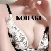 ヒメ日記 2025/09/26 10:18 投稿 Kohaku LovingTouch（ラビングタッチ）