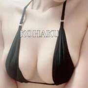 ヒメ日記 2025/10/08 00:18 投稿 Kohaku LovingTouch（ラビングタッチ）