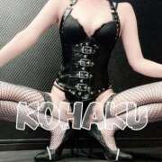 Kohaku 2025 仕事納め(•'-'•) LovingTouch（ラビングタッチ）