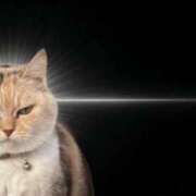 ことね 🐱考えるスケベ屋さん ニュー姫