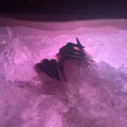 ヒメ日記 2025/09/29 20:35 投稿 時雨-しぐれ【FG系列】 ほんとうの人妻　松戸店