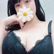 ヒメ日記 2025/11/20 20:22 投稿 のぞみ 白いぽっちゃりさん