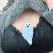 ヒメ日記 2026/03/27 17:58 投稿 のぞみ 白いぽっちゃりさん