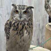 ヒメ日記 2025/07/18 08:24 投稿 ともみ 倶楽部愛