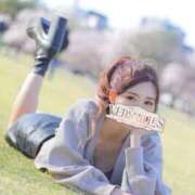 ヒメ日記 2025/11/09 10:11 投稿 ゆい Versailles