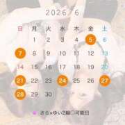 ゆい 6月二輪🚗可能日💕 Versailles