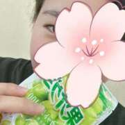 ヒメ日記 2025/10/08 10:14 投稿 はずき 沖縄ちゃんこ那覇店