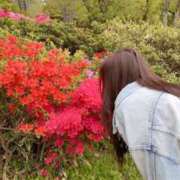 ヒメ日記 2025/07/07 11:07 投稿 ありな 渋谷じゃっくす