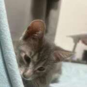 ヒメ日記 2025/11/02 07:23 投稿 ♪のの♪ 水色りぼん